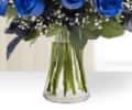 Blue as your eyes view 3