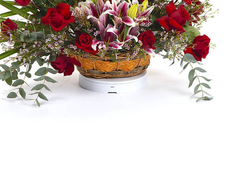 Red box arrangement of pink tulips. view 3