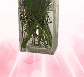 A natural red rose vase view 3