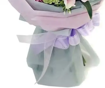 CLASSIC PINKS & PURPLE view 3