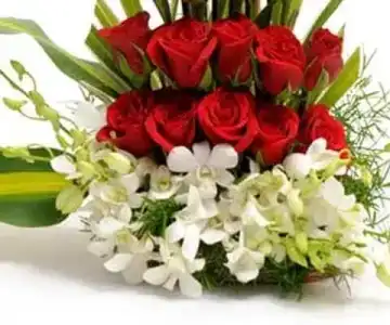 Orchid-Red Roses view 3