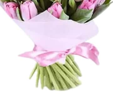 Pink White Tulips Bunch Standard view 3