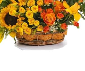 Sun basket arrangement view 3