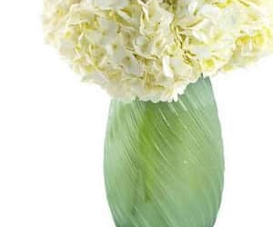 Glass Vase view 5