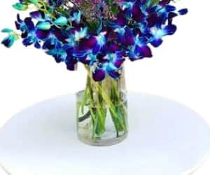 Libra Flowers 2 view 3