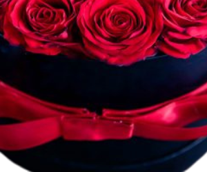 Dark red roses box from Nigwa view 3