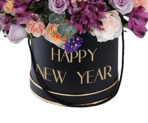 Lavish New Year from Nigwa view 3