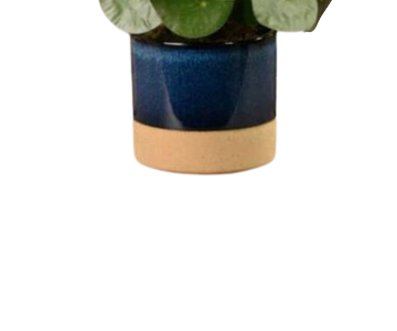 Artificial Pilea Peperomioides Plant. view 3