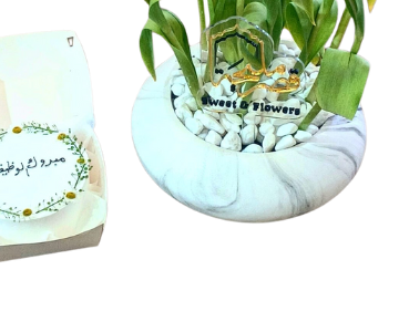 Tulip flowers and cake view 3