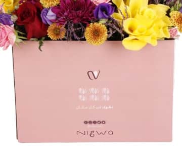 Nigwa Bundle 9787 view 6