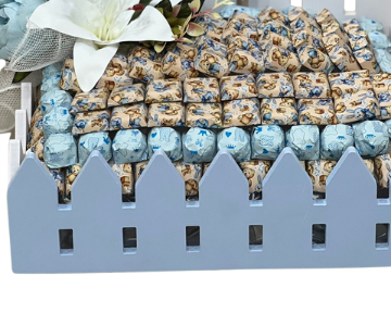 Newborn baby boy chocolate tray view 3