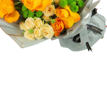 Orange Rose Blossom view 3