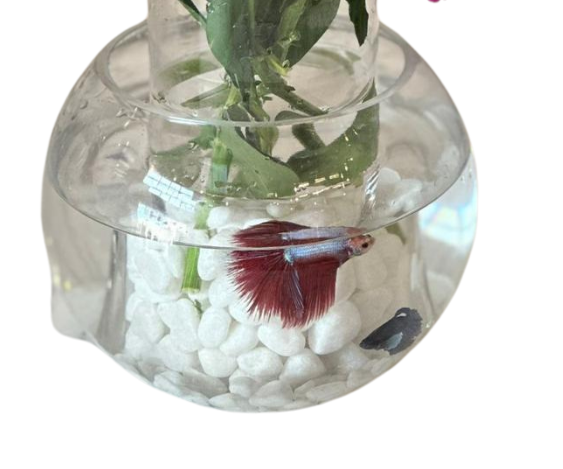 Purple rose vase view 3