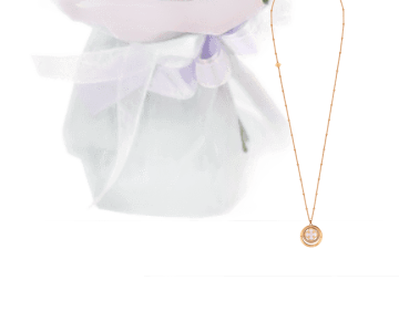simple gift  6 view 3