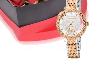 Luxury watch gifts 19 view 5
