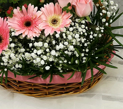 NB1001 New Born Hamper Arrangement view 3