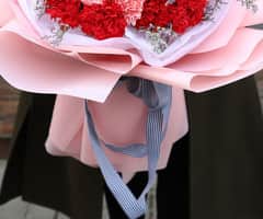 HC1001 Carnation Hand Bouquet view 3