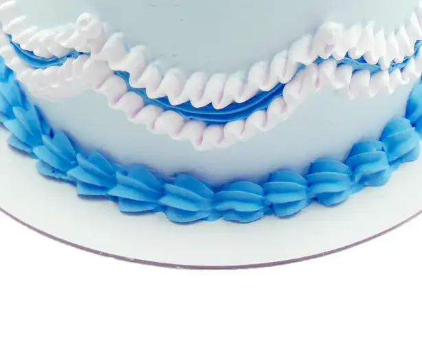 Selfie Cake 3 view 3
