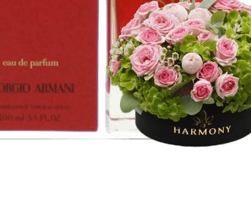 Giorgio armani gifts 13 view 3