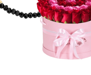 Aigner gifts  18 view 3