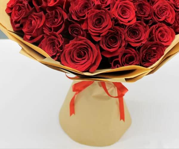 Red Emotions view 3