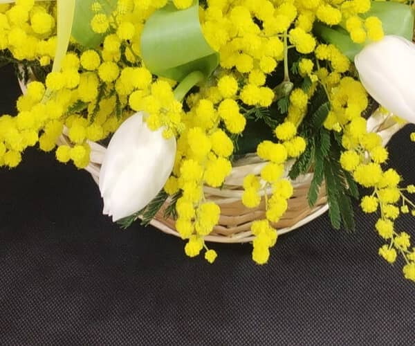 Mimosa Basket view 3