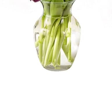 15 Stems Tulips with Vase view 3