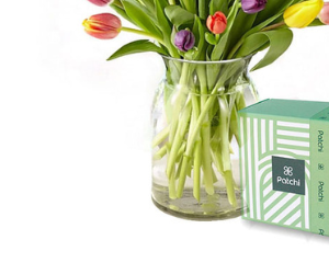Tulips Vase with Chocolate view 3