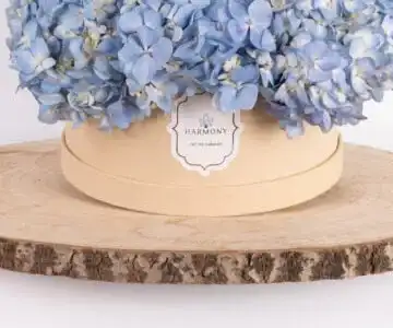 PetiteFlora Box view 3