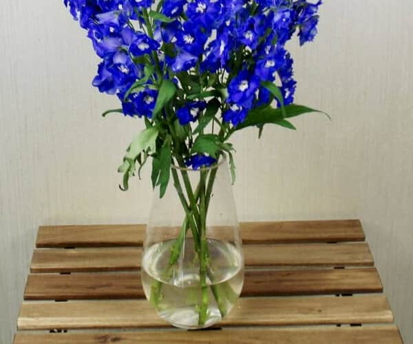 Blue Delphinium Vase 1116 view 3