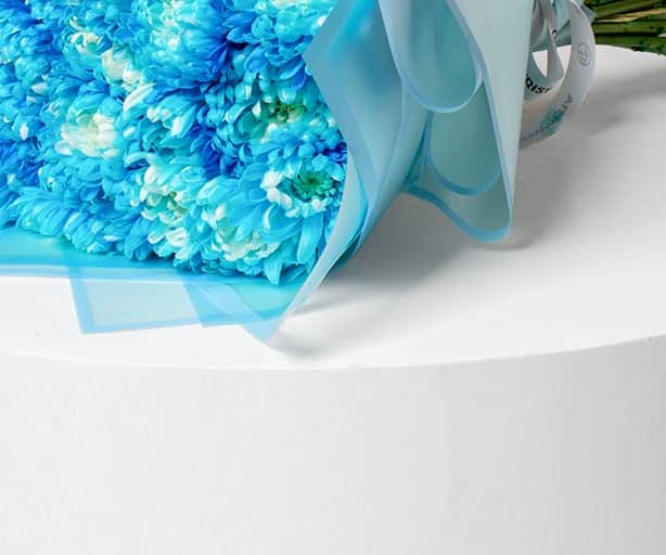 Blue Chrysanthemum view 3