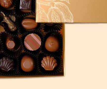 House of Cocoa Luxurious Chocolate Box 16 Pieces view 3