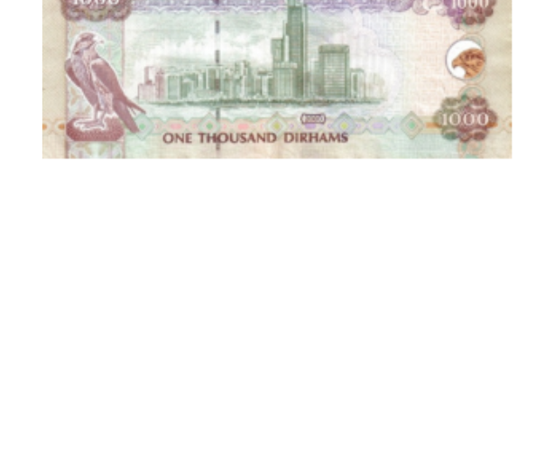 Add cash 2000 view 3