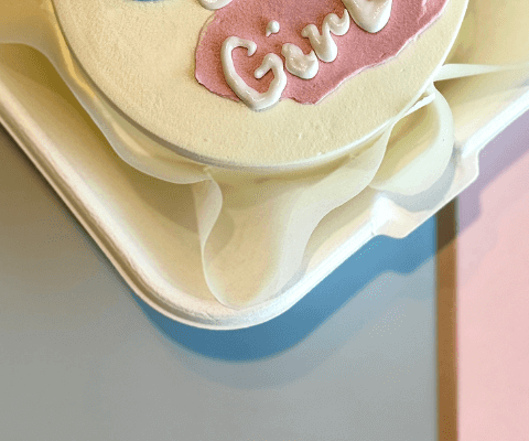 Bento Cake 48 view 5