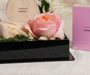 Chanel Chance EDT 100ml Gift Box for Her limited offer view 5