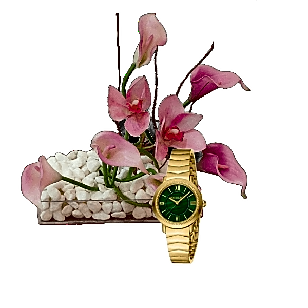 Luxury watch gifts 7 view 1