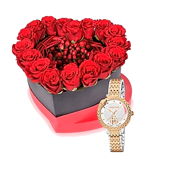 Luxury watch gifts 19 view 1