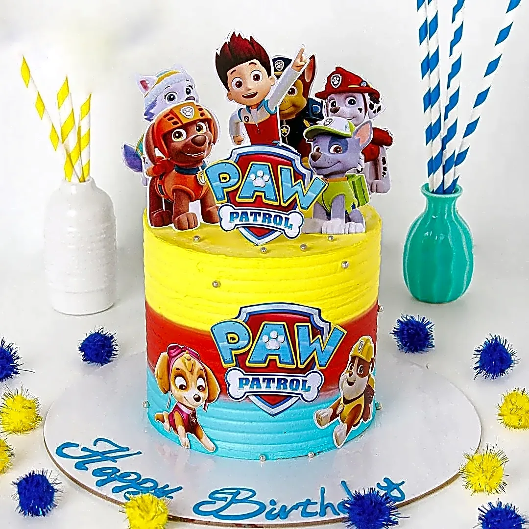Amazing Paw Patrol Cake view 1