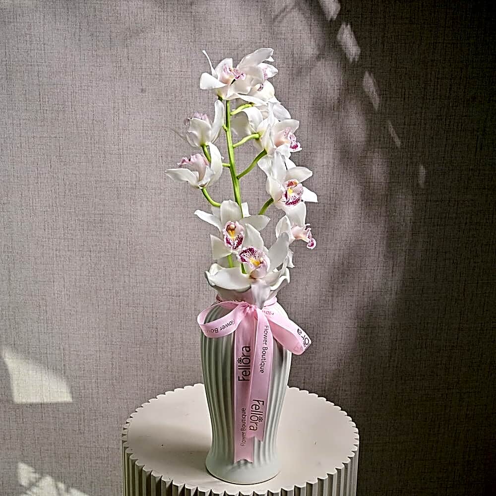 White Cymbidium Orchid in Ceramic Vase 6634