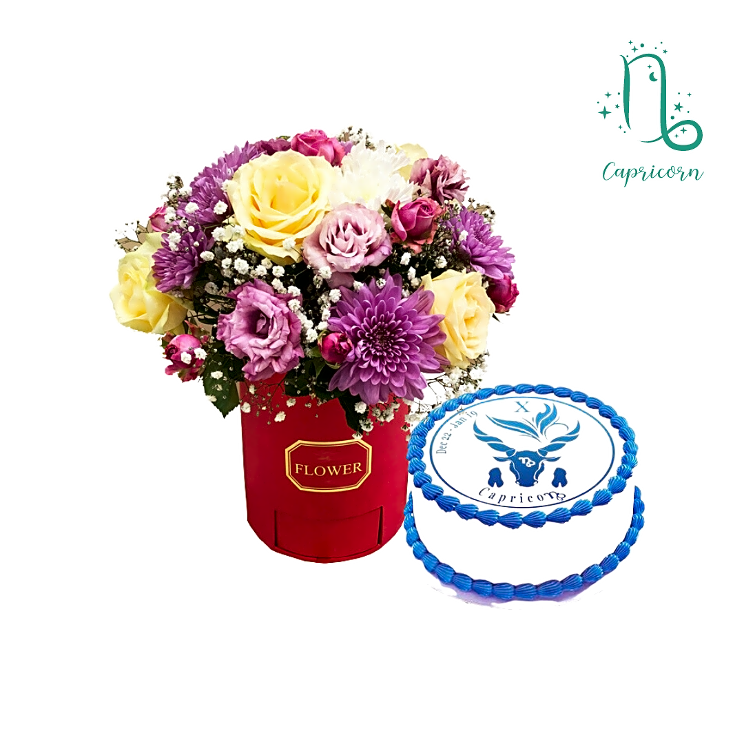 Capricorn gift view 1