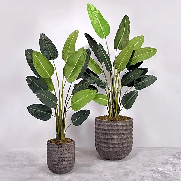 Artificial Strelitzia Plant view 1