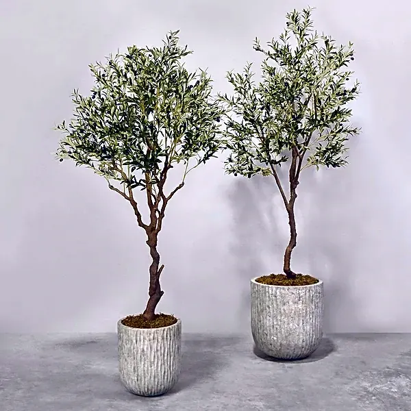 Artificial Olive Tree view 1