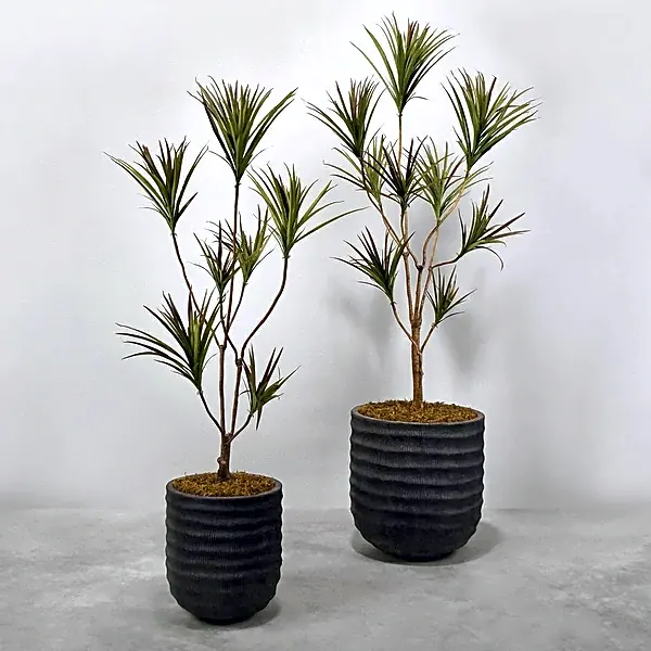 Artificial Dracaena Tree view 1