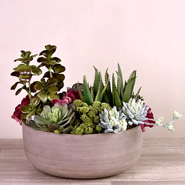 Artificial Succulent Plant Arrangement view 1