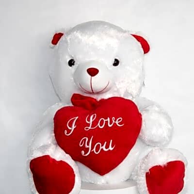 Teddy Bear White and Red Color view 1