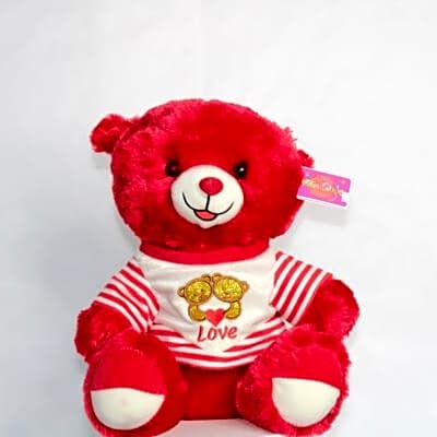 Teddy Bear Red color N view 1