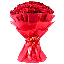 HOT RED ROSES 2 view 1