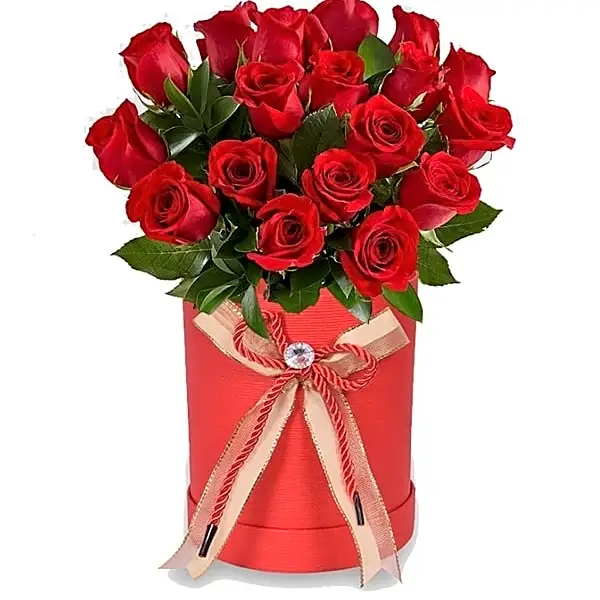 18 Red Roses in Red view 1