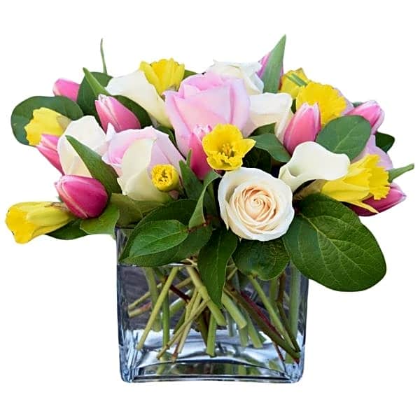 TULIP STYLE view 1