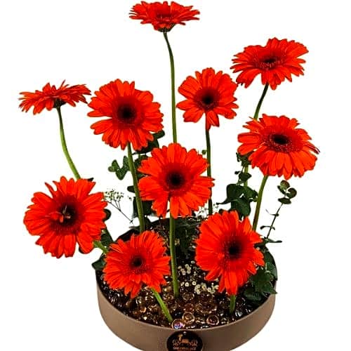 flower with tray view 1